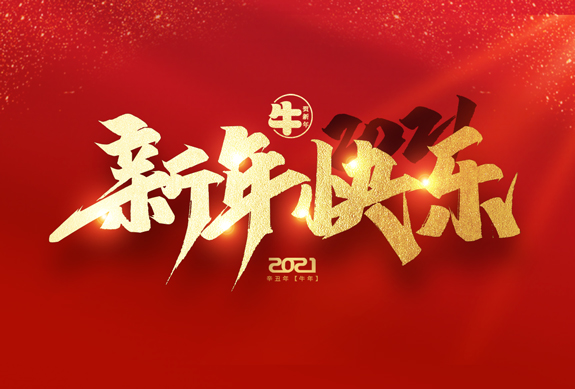 麗水市威儀自動(dòng)化技術(shù)有限公司祝全國人民2021年新年快樂！