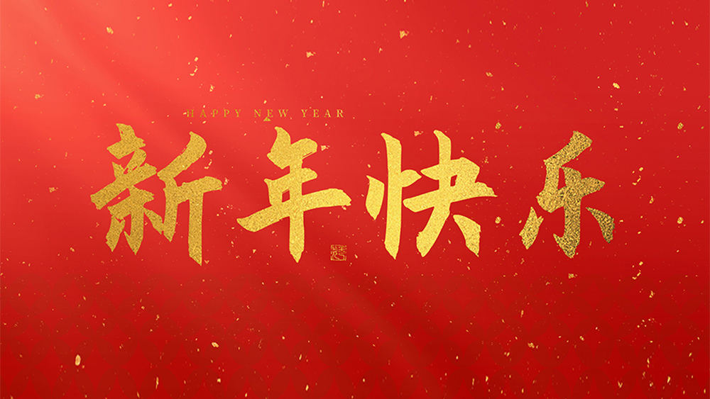 麗水市威儀自動(dòng)化技術(shù)有限公司祝全國(guó)人民2025新年快樂(lè)！